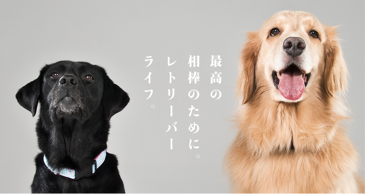 レトリーバー｜国内最大のレトメディア「レトリーバーライフ/Retriever