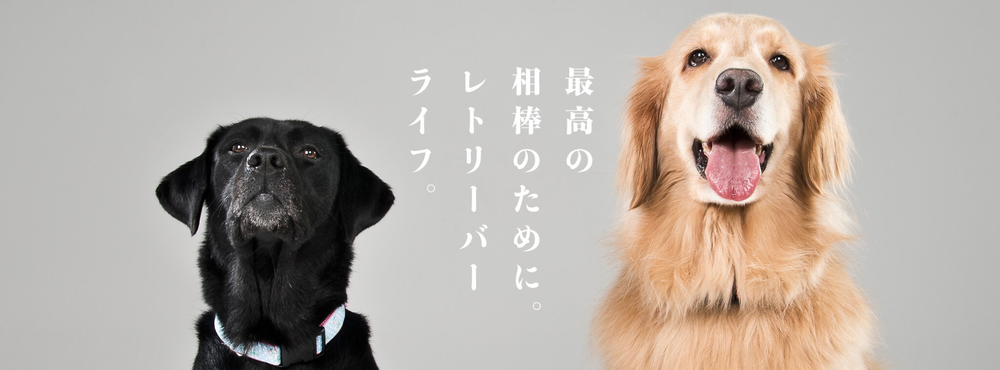 最高の相棒のために。レトリーバーライフ。