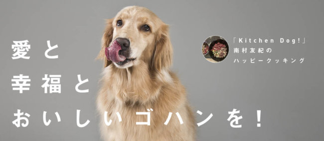 愛と幸福とおいしいゴハンを！,南村友紀