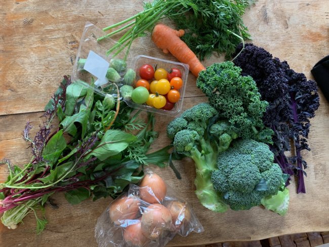 キッチンドッグ