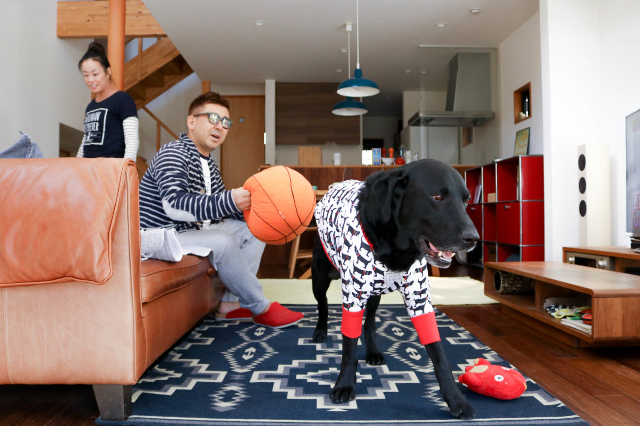 湘南レトリーバー,住まい