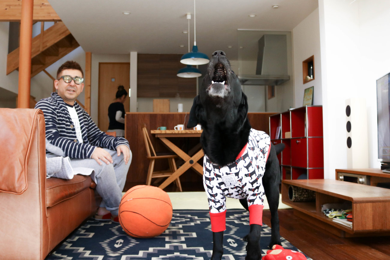 湘南レトリーバー,住まい