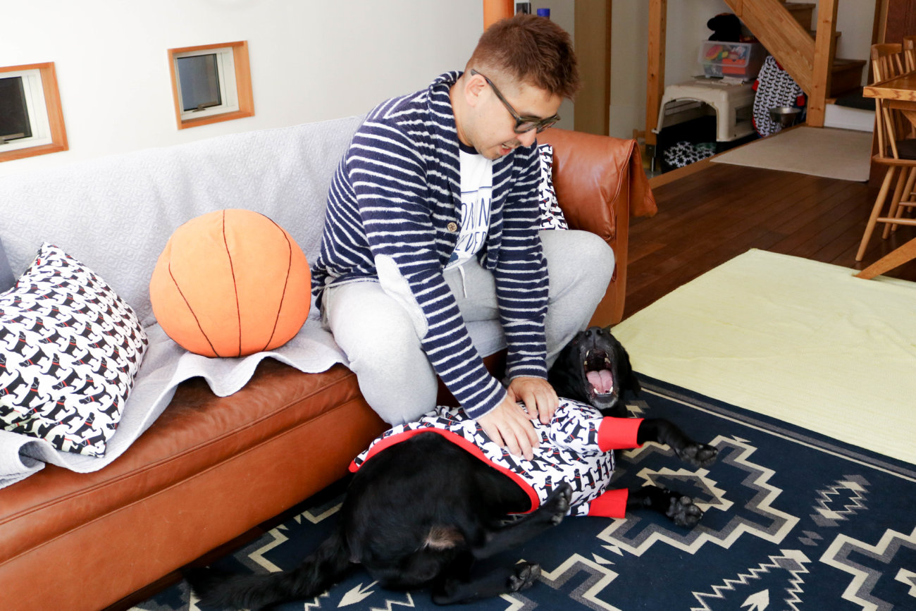 湘南レトリーバー,住まい