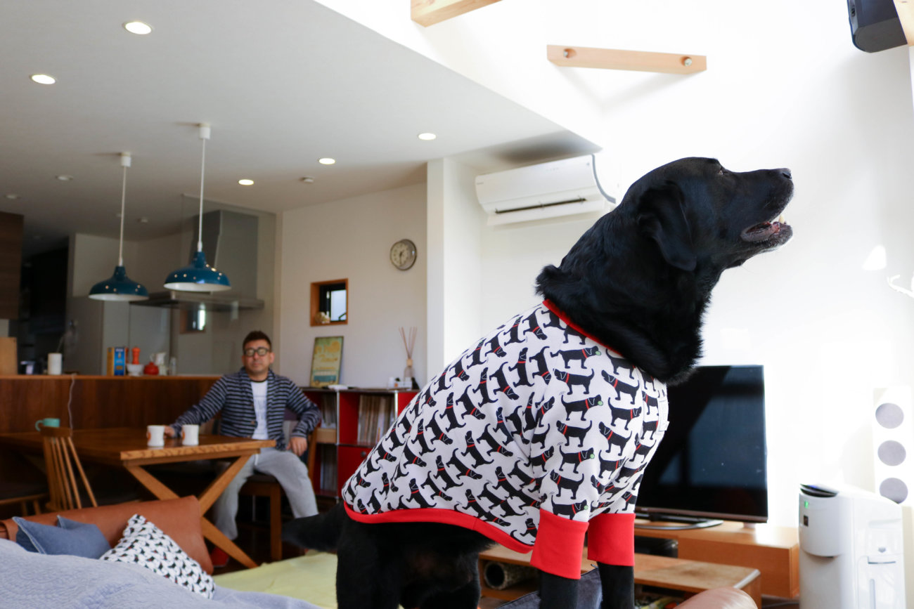 湘南レトリーバー,住まい