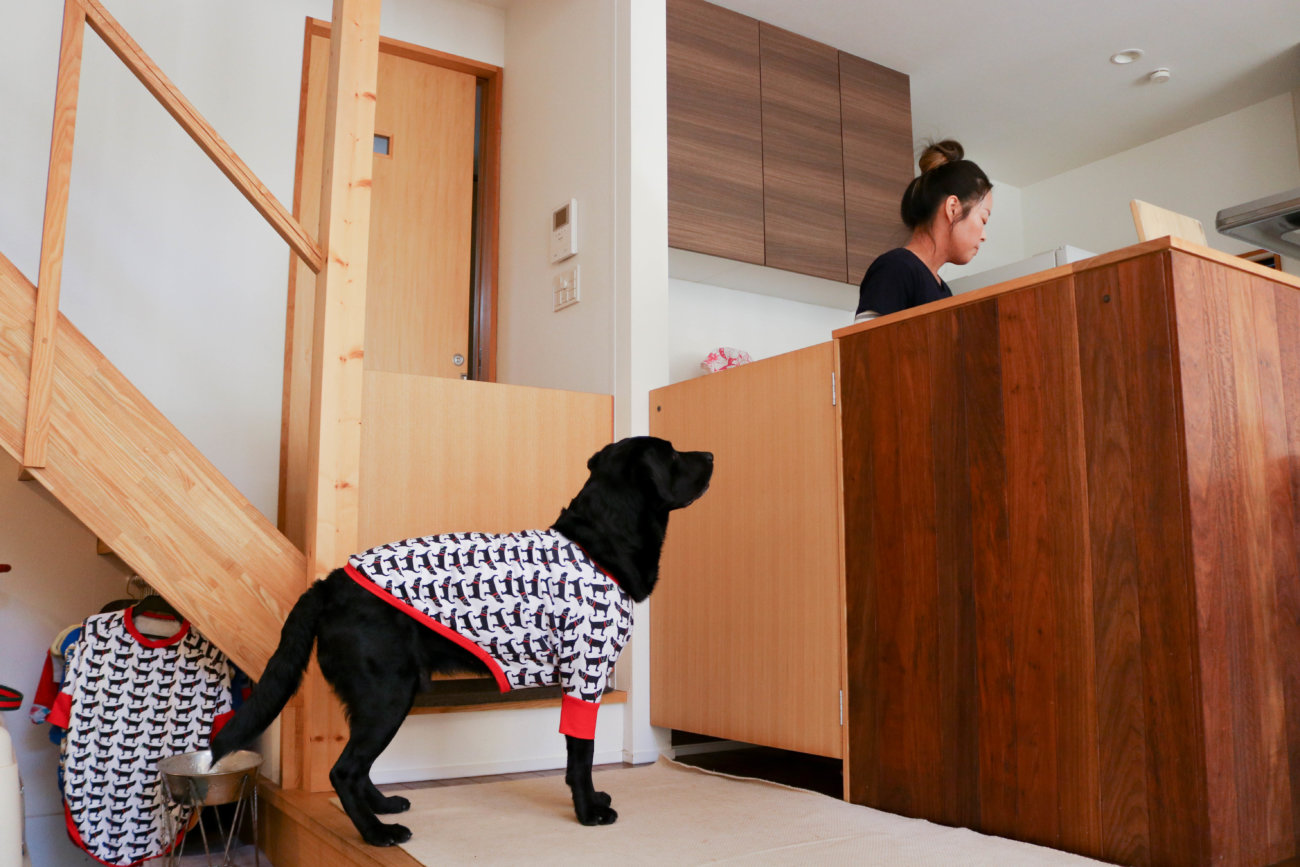 湘南レトリーバー,住まい