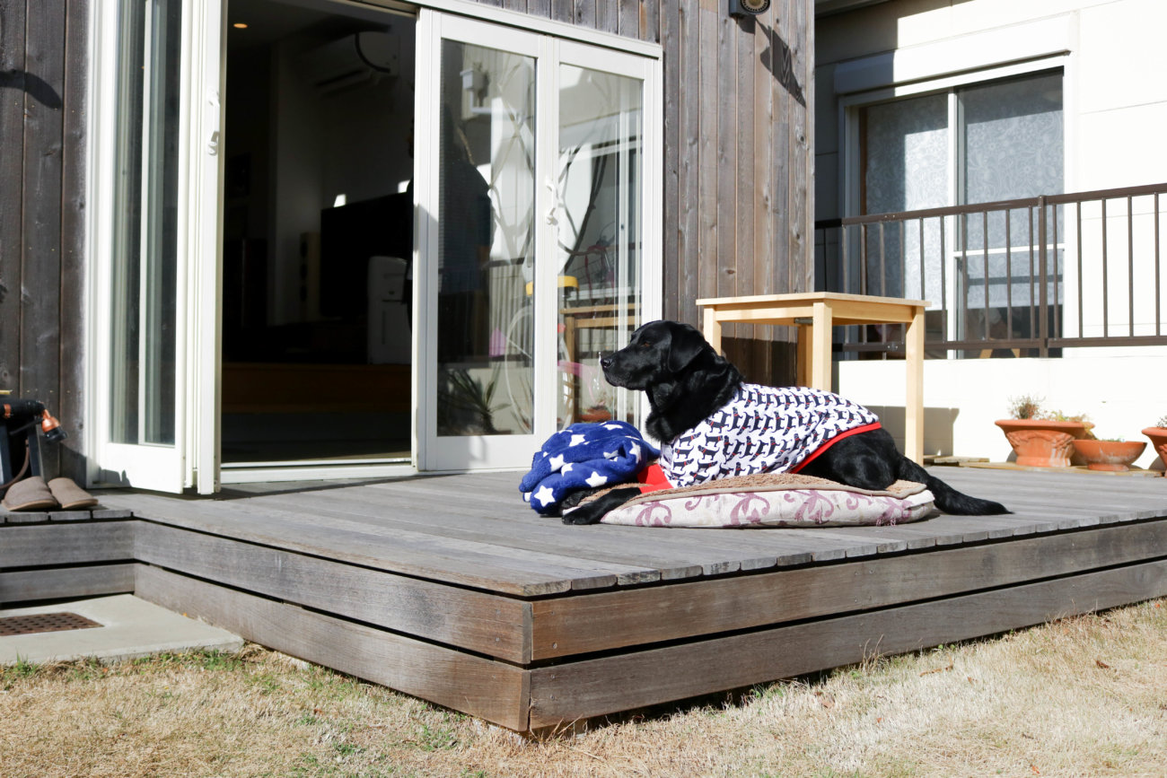 湘南レトリーバー,住まい