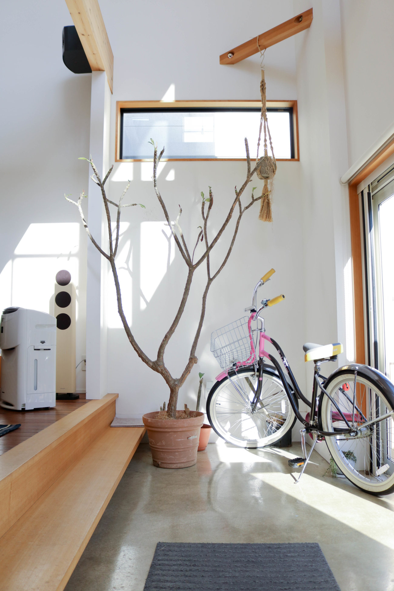 湘南レトリーバー,住まい