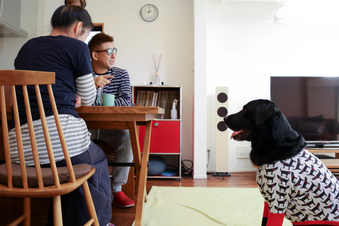 湘南レトリーバー,住まい