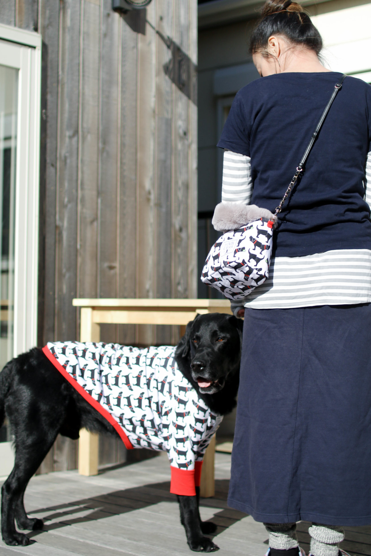 湘南レトリーバー,住まい