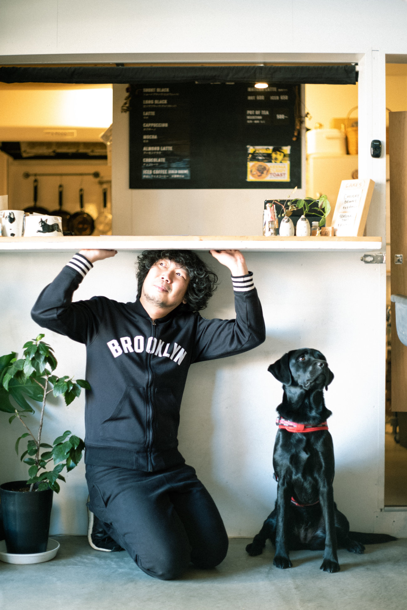 マンボウやしろ,ラブラドールレトリーバー