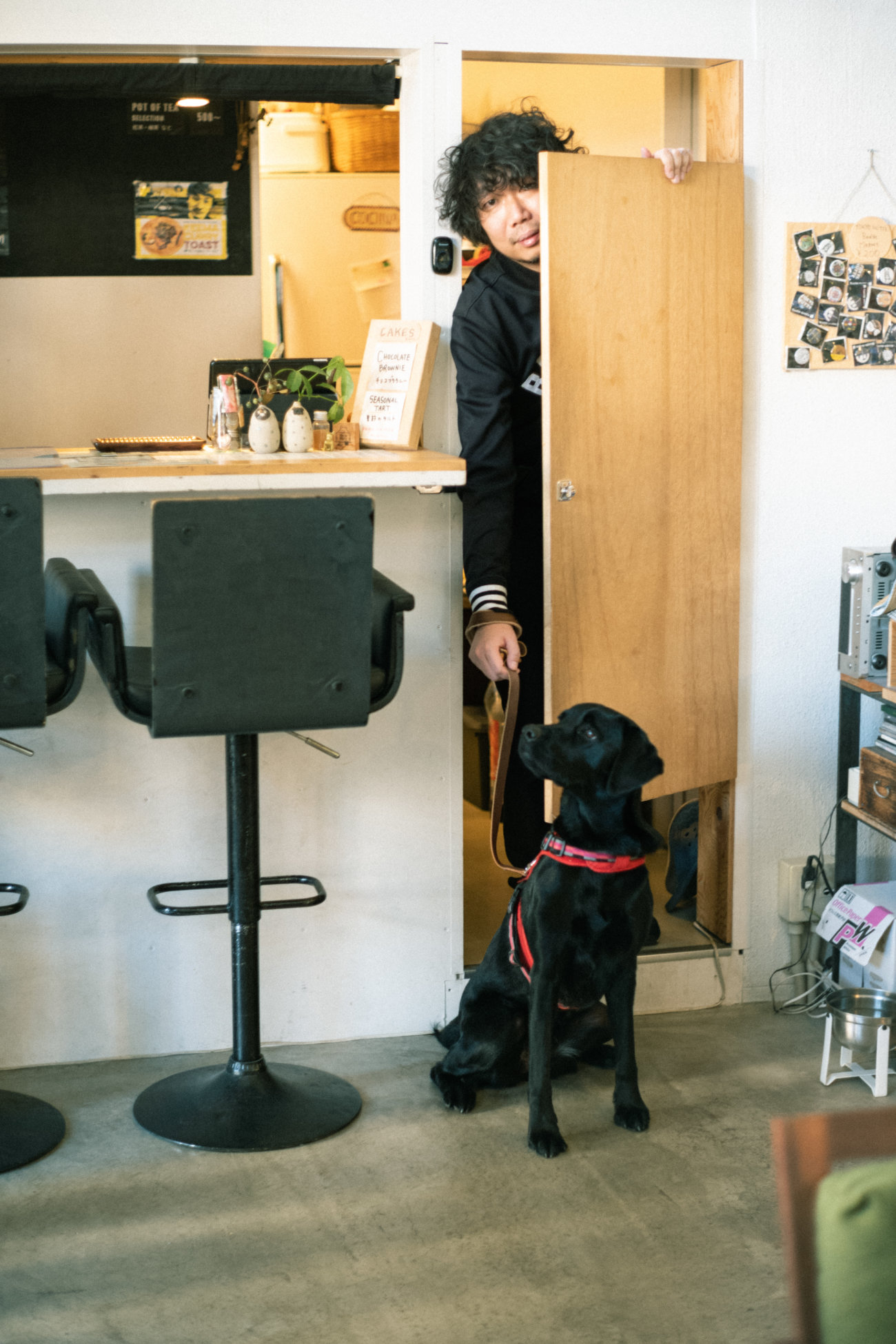 マンボウやしろ,ラブラドールレトリーバー