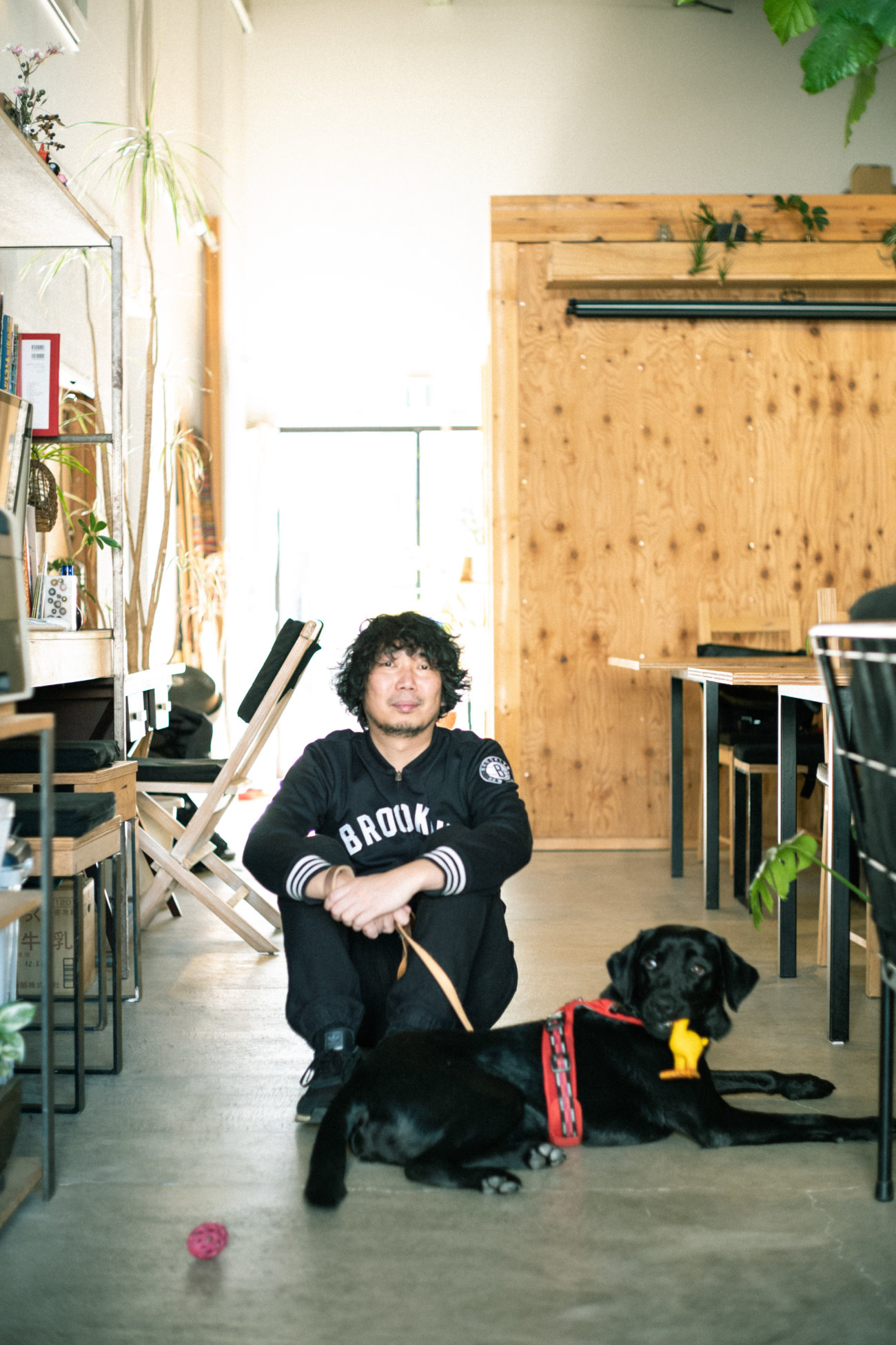 マンボウやしろ,ラブラドールレトリーバー