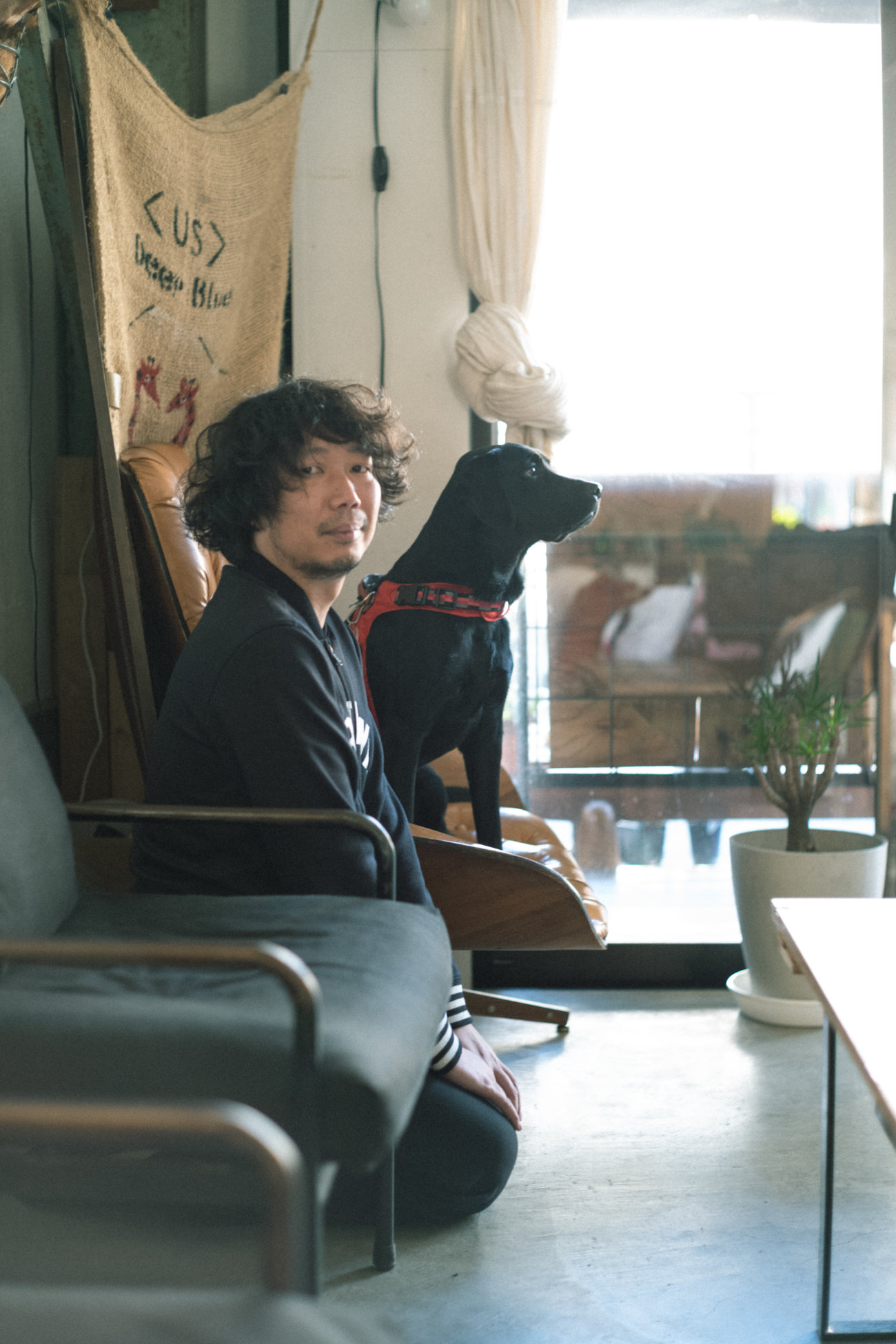 マンボウやしろ,ラブラドールレトリーバー