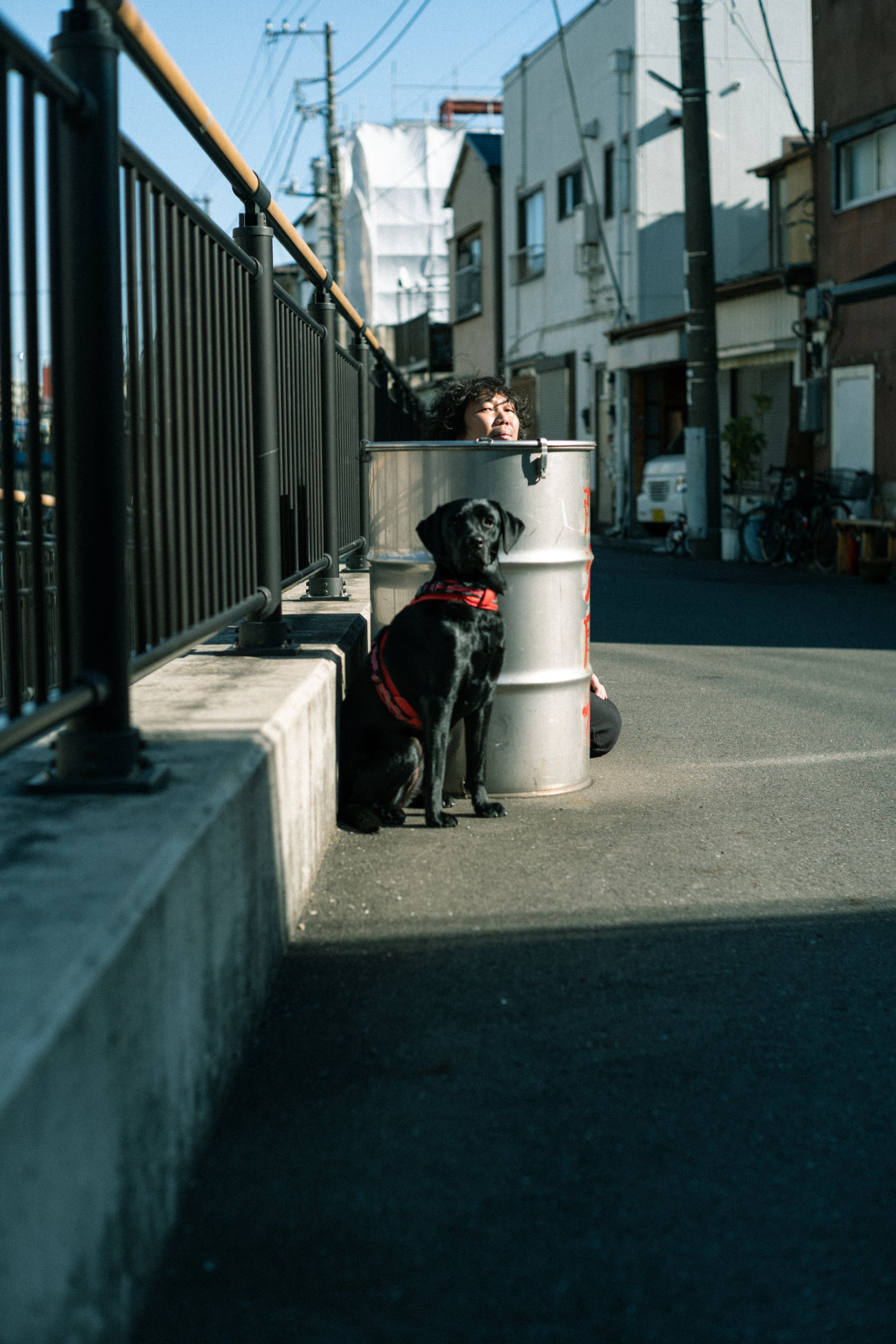 マンボウやしろ,ラブラドールレトリーバー