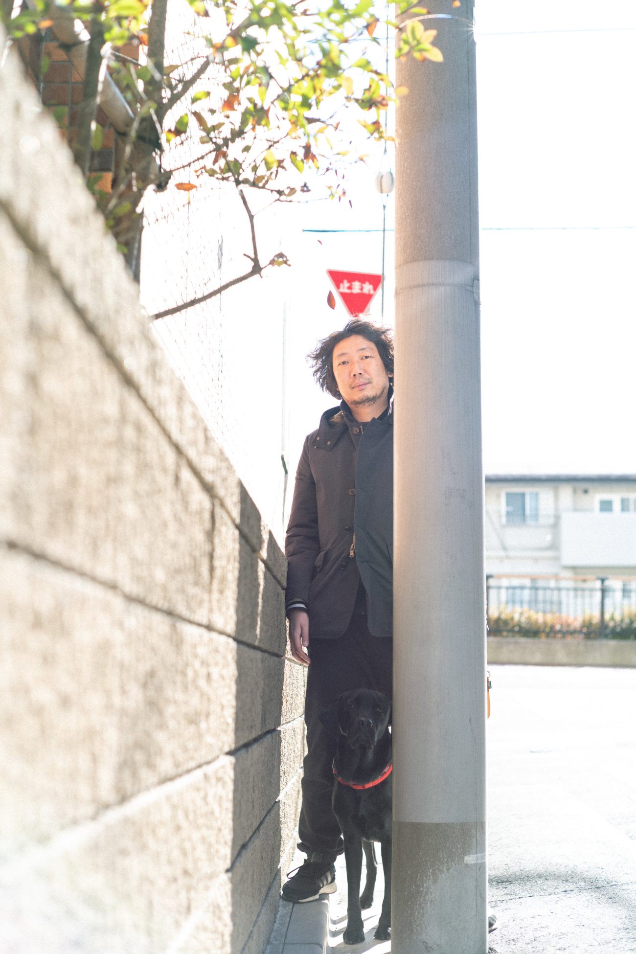 マンボウやしろ,ラブラドールレトリーバー