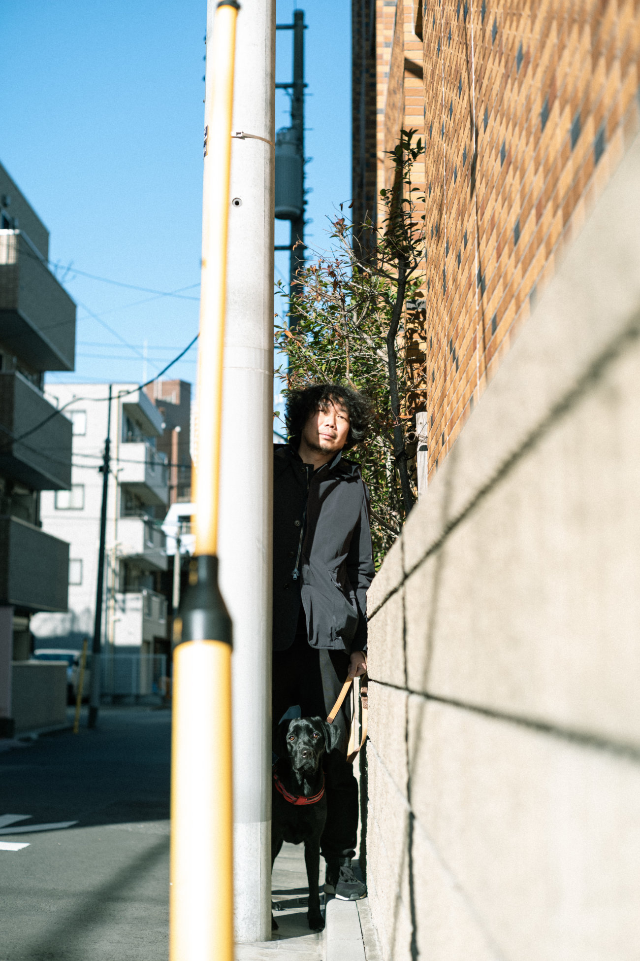 マンボウやしろ,ラブラドールレトリーバー