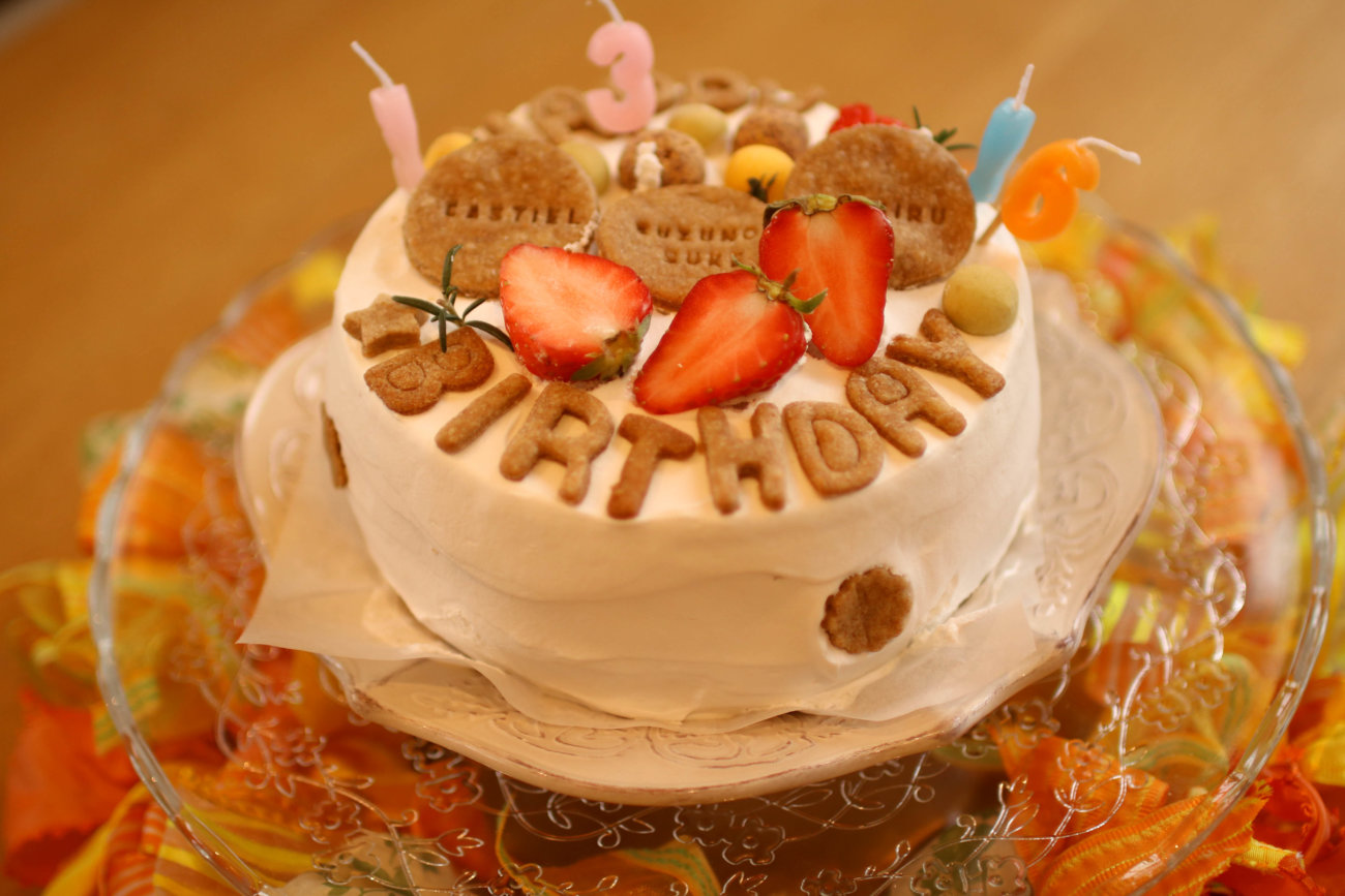 レトリーバー,看板犬,ドッグラン