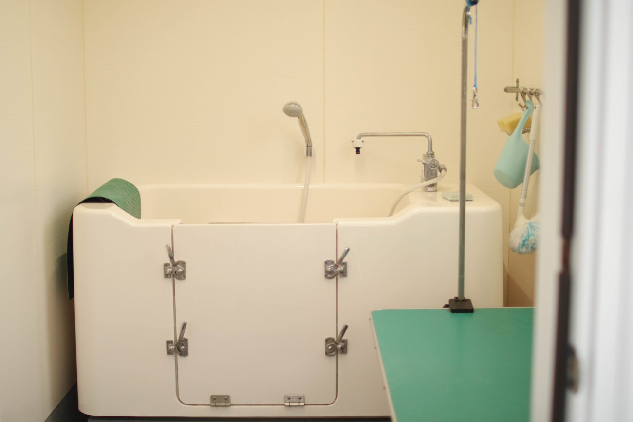 レトリーバー,看板犬,ドッグラン