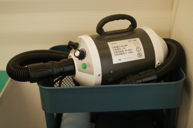 レトリーバー,看板犬,ドッグラン