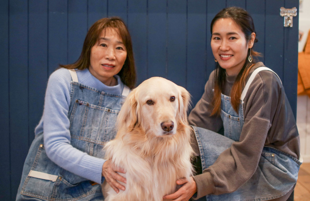 レトリーバー,看板犬,ドッグラン