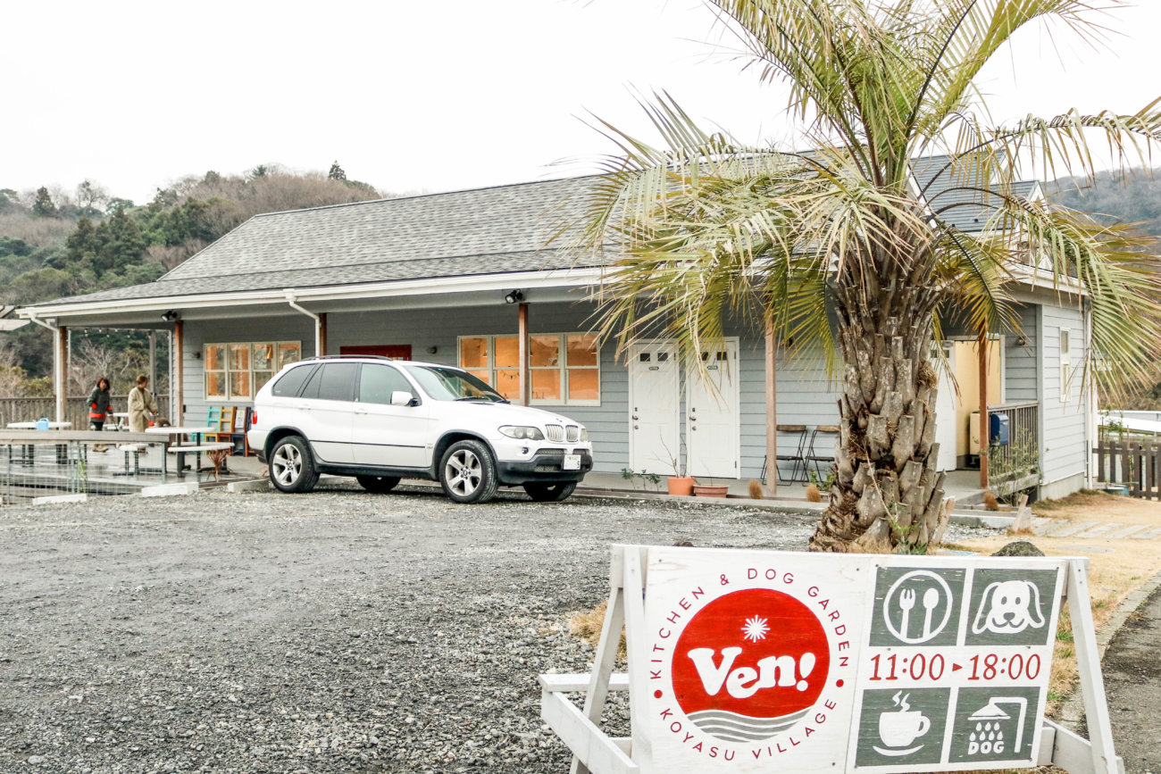 レトリーバー,看板犬,ドッグラン