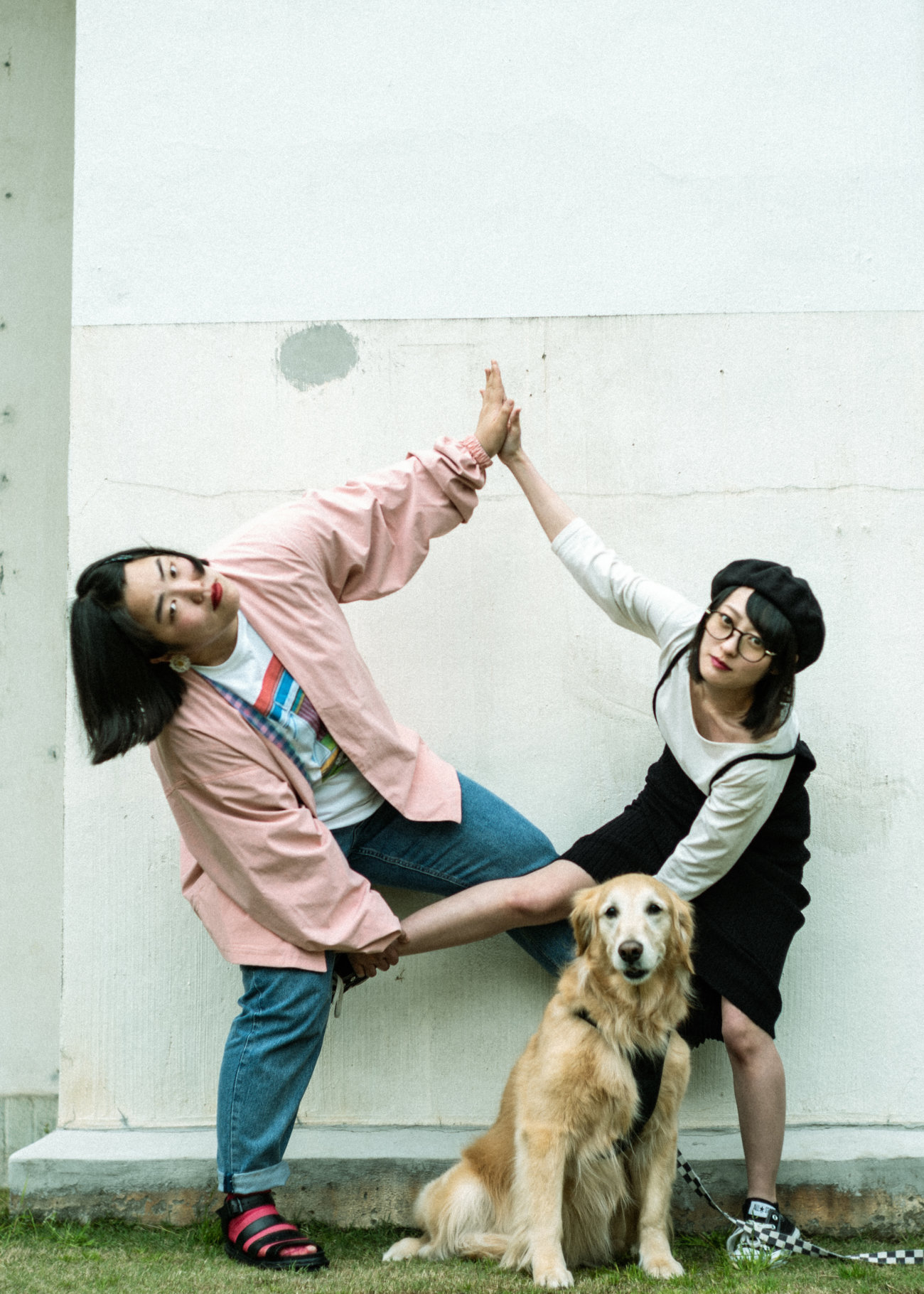 レトリーバー,ゆりやん,三秋理歩