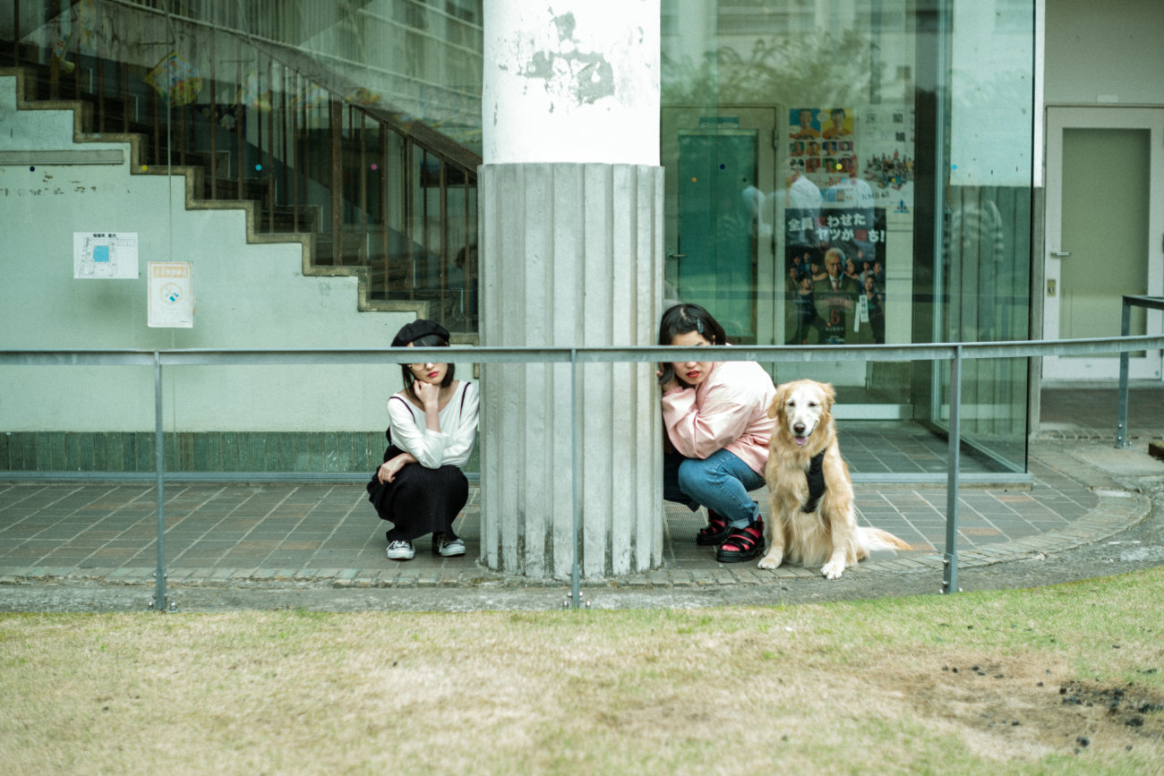 レトリーバー,ゆりやん,三秋理歩