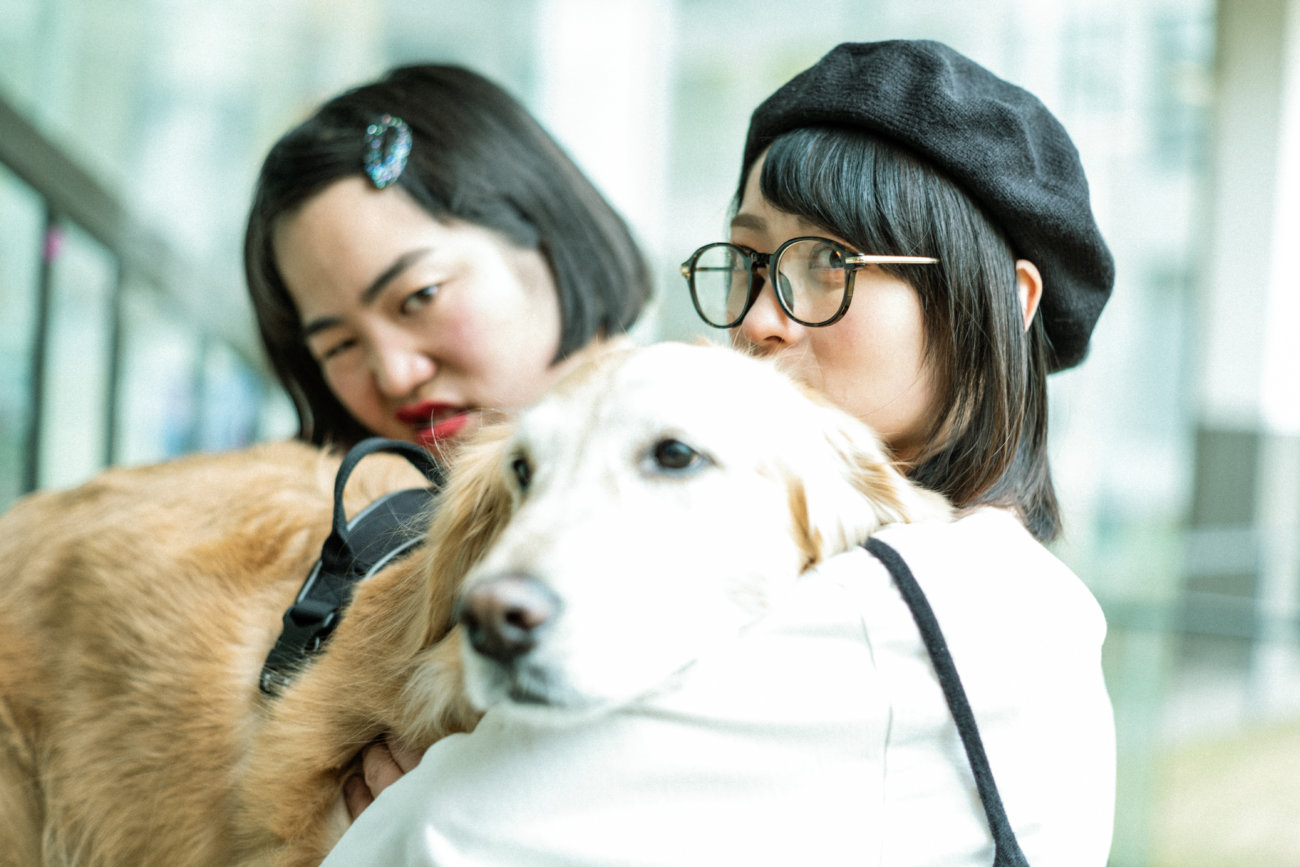 レトリーバー,ゆりやん,三秋理歩