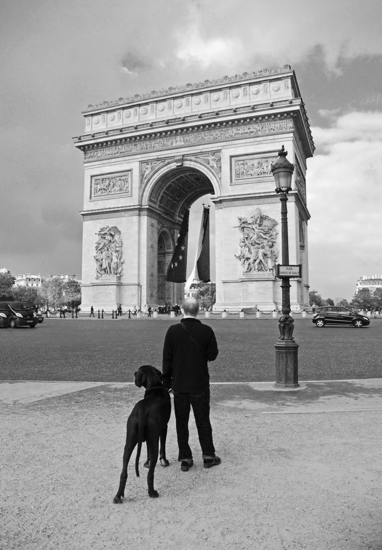 レトリーバー,パリ