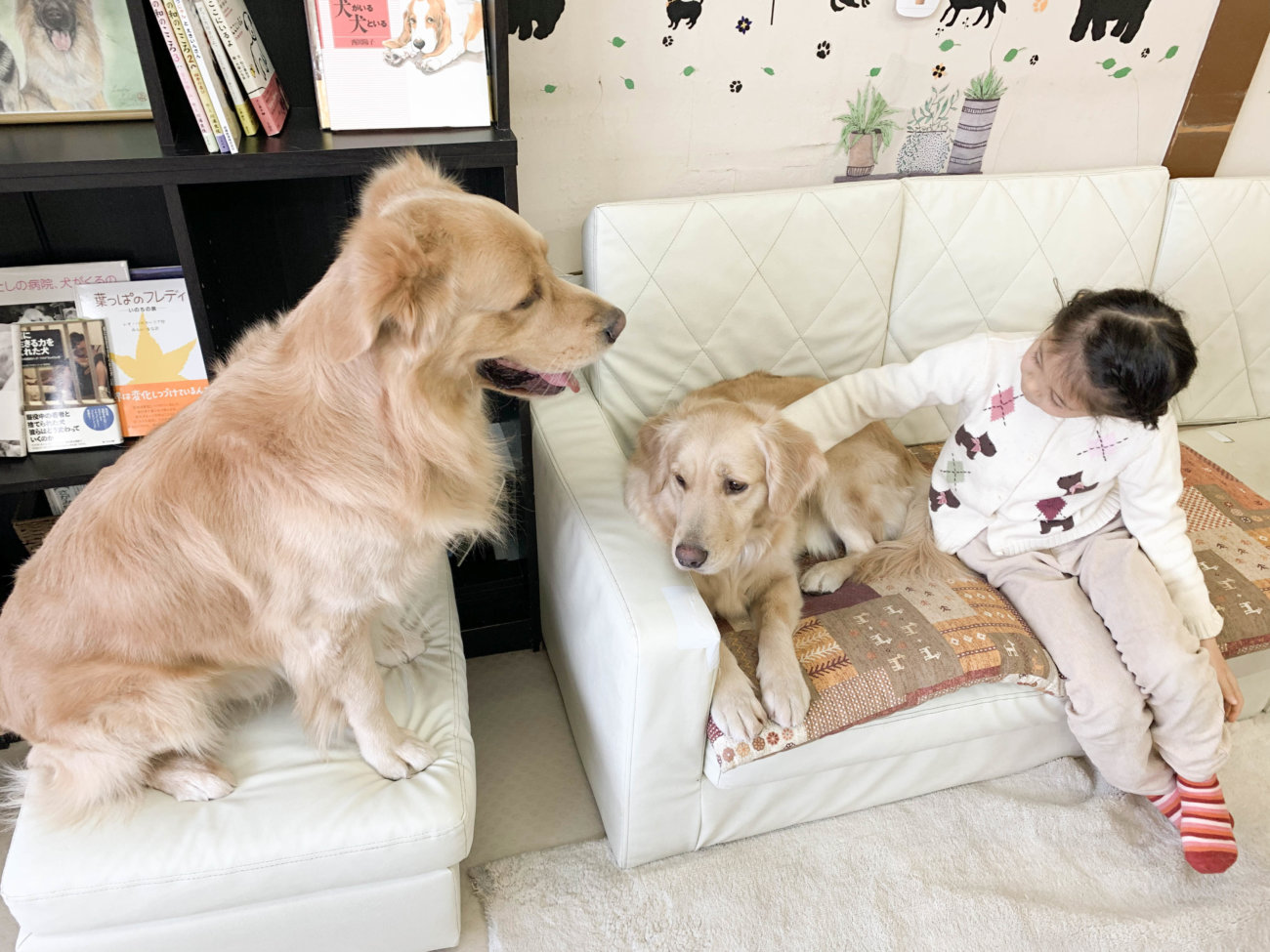 レトリーバー,セラピー犬