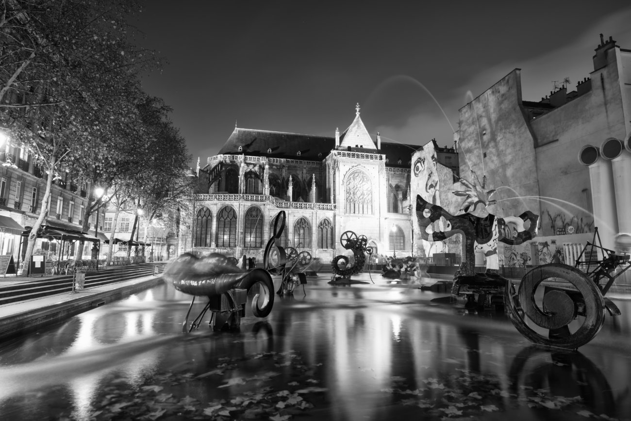 レトリーバー,パリ