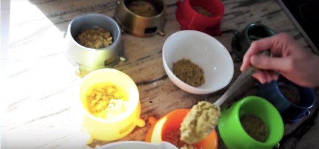 ラブラドールレトリーバー,ごはん