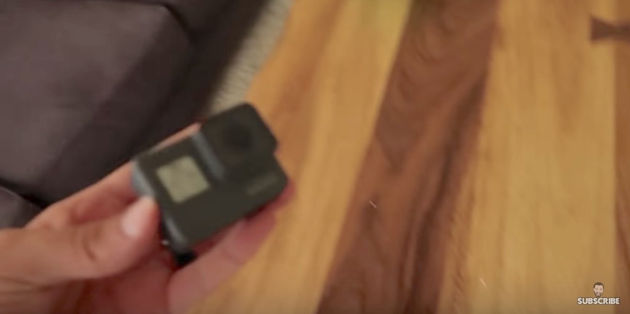 ラブラドールレトリーバー,留守番