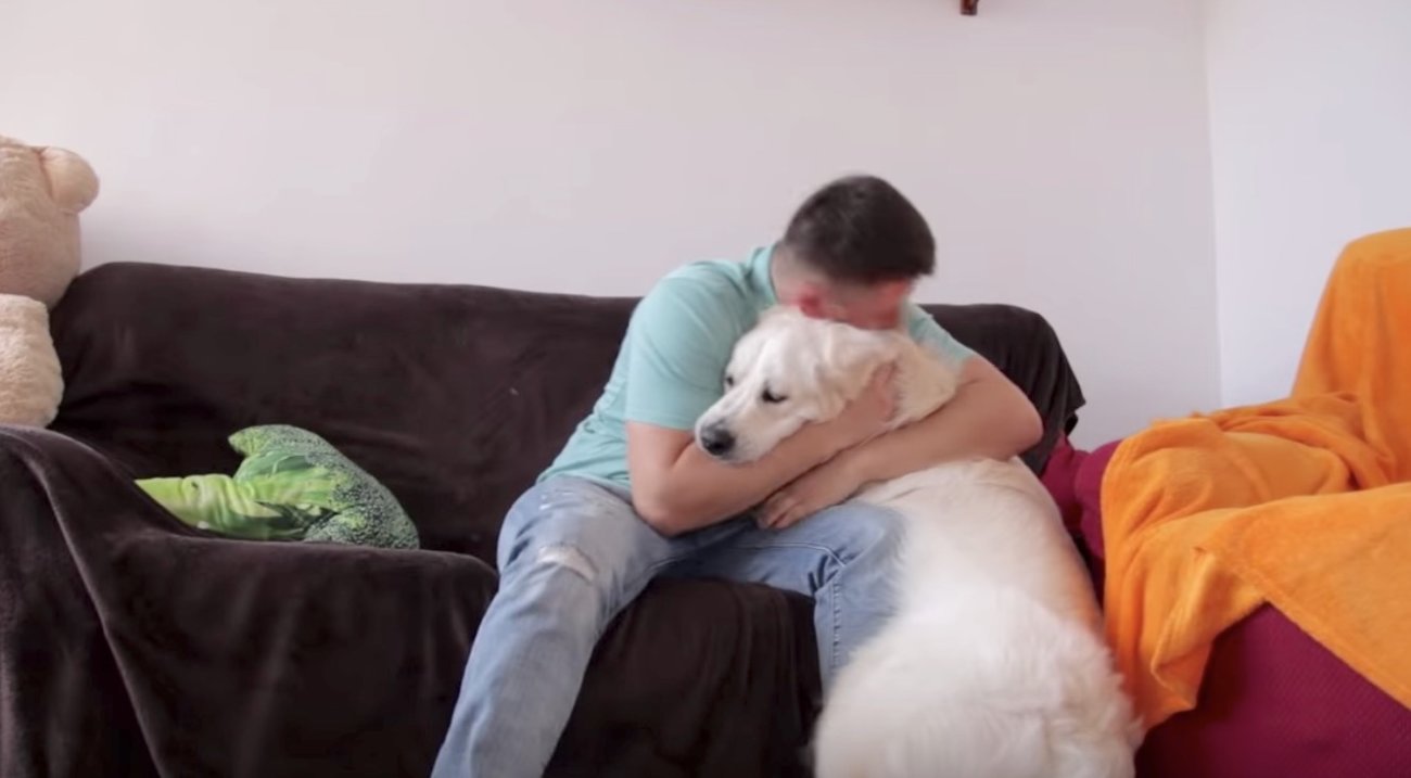 ゴールデンレトリーバー,泣く