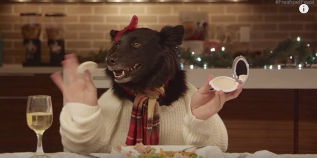 レトリーバー,cm