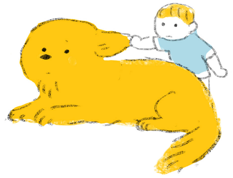 ゴールデンレトリーバー,絵本