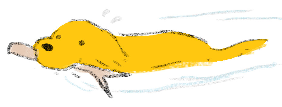 ゴールデンレトリーバー,絵本