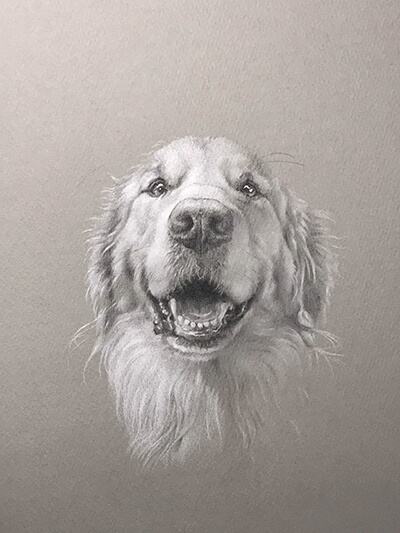 絵画　イタリア製　人物画　犬を抱いた少年　⭐︎素敵⭐︎ ピカソ 「少年と犬」 | vn9s3hのブログ