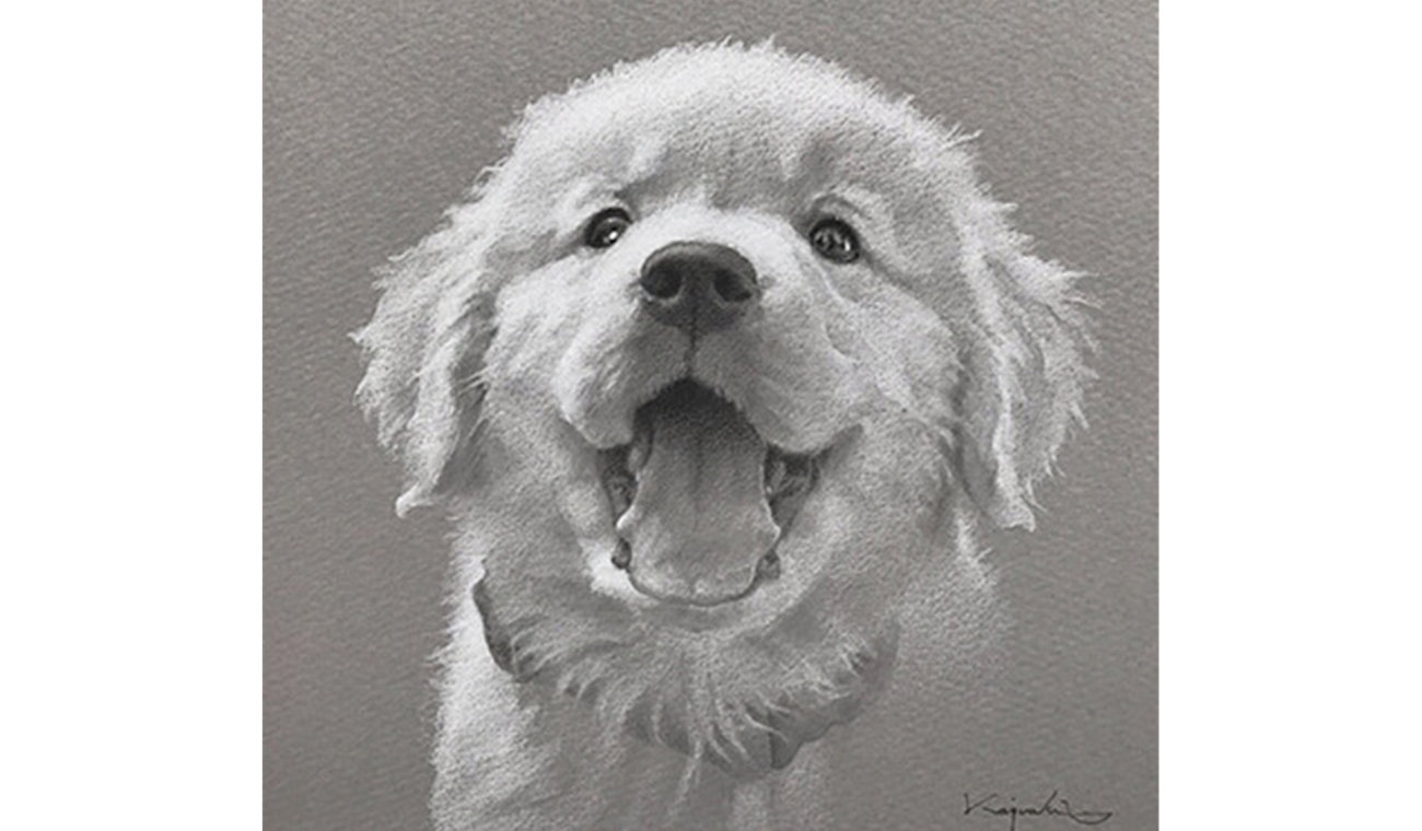 取材】 モノクロパステルで描かれたペットの肖像画は、内面を映す癒し