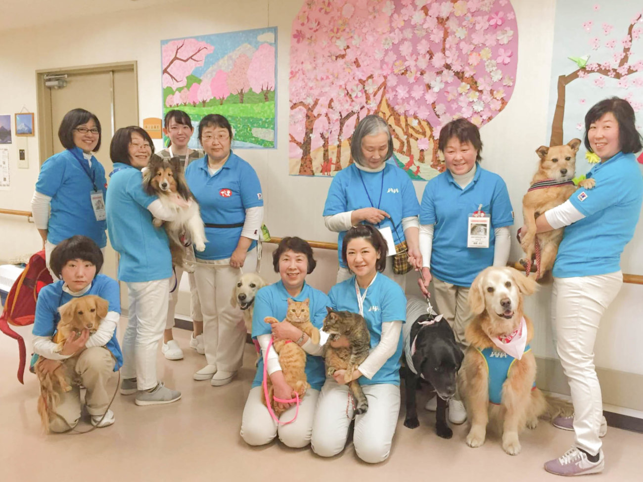 レトリーバー,セラピー犬