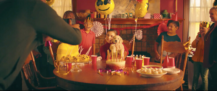 ラブラドールレトリーバー,動画