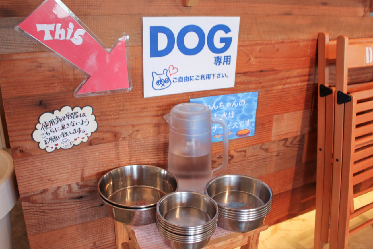 ラブラドールレトリーバー,湘南