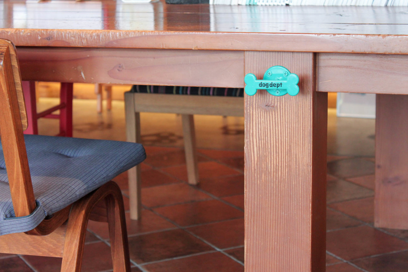 ラブラドールレトリーバー,湘南