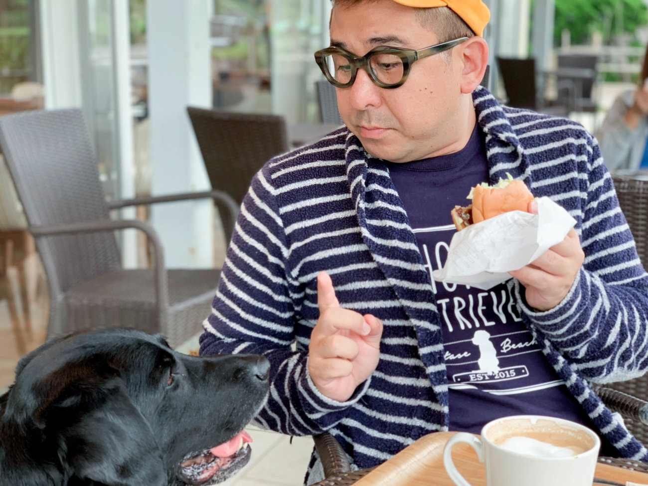 ラブラドールレトリーバー,湘南