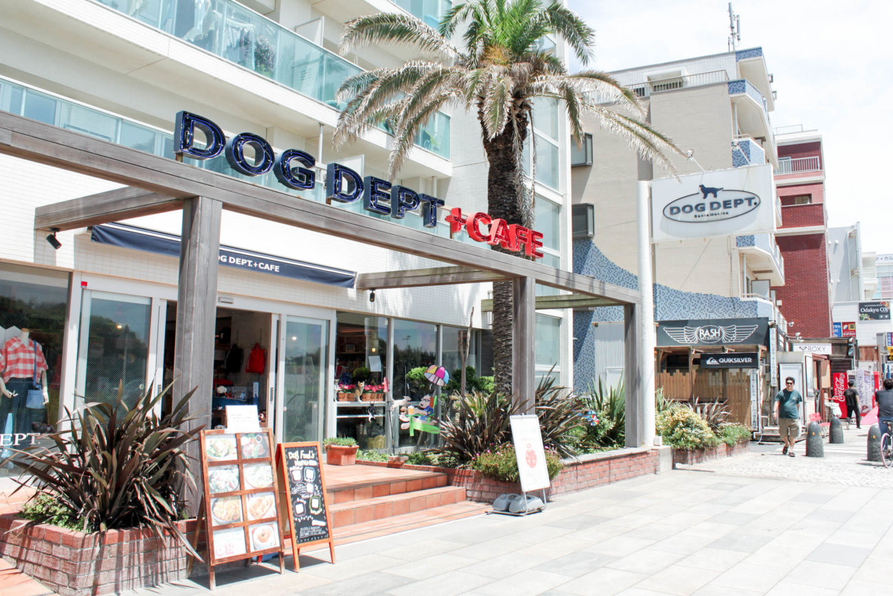 ラブラドールレトリーバー,湘南