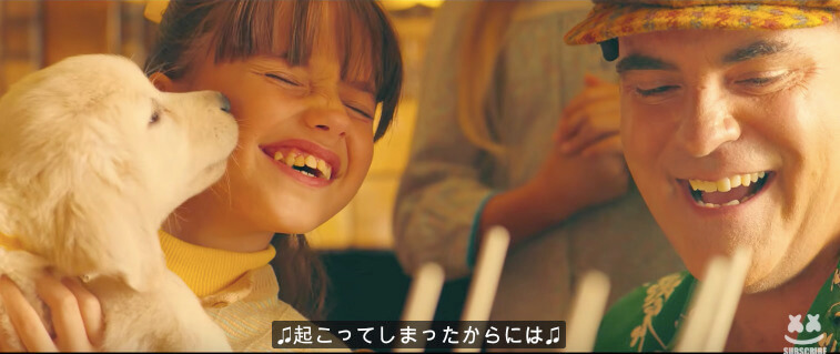 ラブラドールレトリーバー,動画