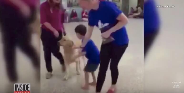 ゴールデンレトリーバー,自閉症