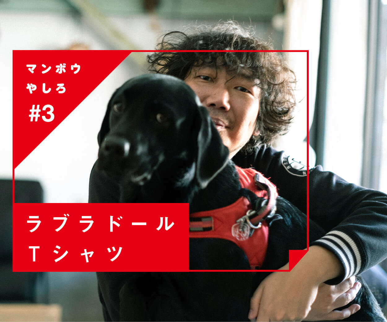 マンボウやしろ,ラブラドール