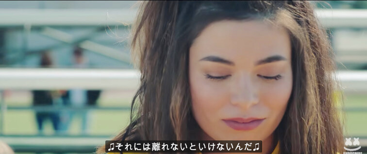 ラブラドールレトリーバー,動画