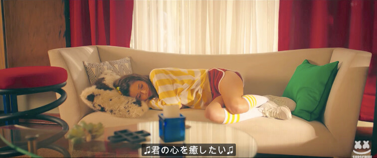 ラブラドールレトリーバー,動画